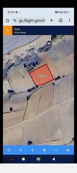 İlan Görseli https://cdn.ilanlar.com/images/l1/l2/{width}/{height}/30006816_1767268224543081836.jpg