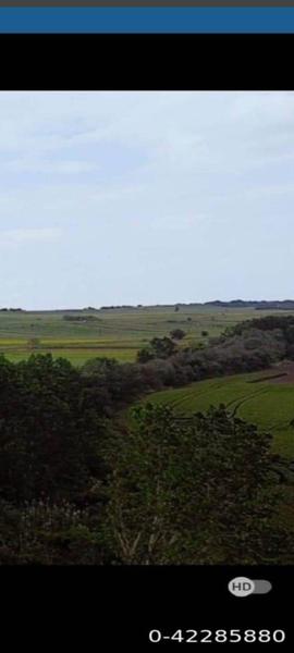 İlan Görseli https://cdn.ilanlar.com/images/l1/l2/{width}/{height}/30006823_1766745875773067746.jpg