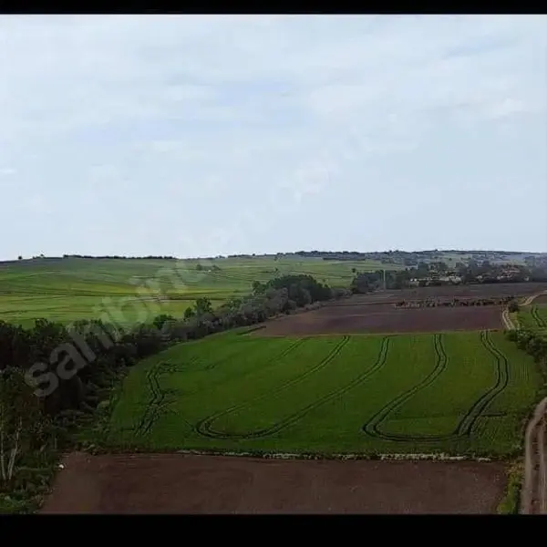 İlan Görseli https://cdn.ilanlar.com/images/l1/l2/{width}/{height}/30006823_1766745876117257283.jpg