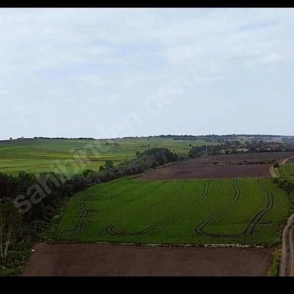 İlan Görseli https://cdn.ilanlar.com/images/l1/l2/{width}/{height}/30006823_1766745876117257283.jpg