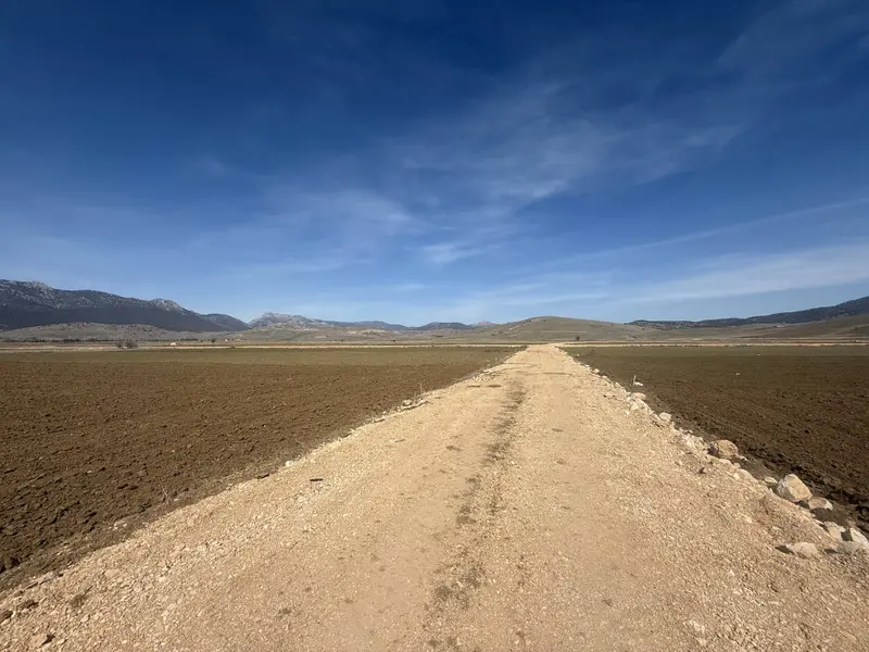 İlan Görseli https://cdn.ilanlar.com/images/l1/l2/{width}/{height}/30006825_1766751206937978602.jpg