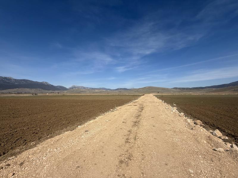 İlan Görseli https://cdn.ilanlar.com/images/l1/l2/{width}/{height}/30006825_1766751206937978602.jpg