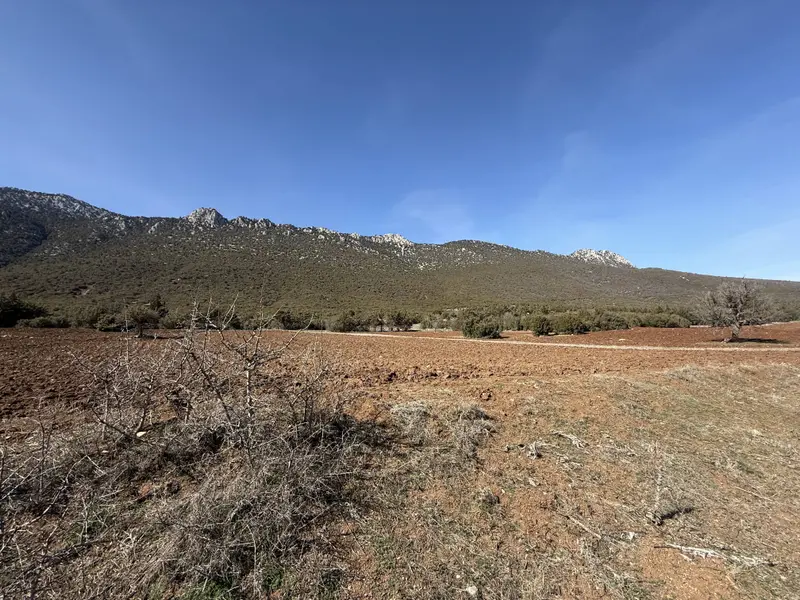 İlan Görseli https://cdn.ilanlar.com/images/l1/l2/{width}/{height}/30006826_1766751613874500904.jpg