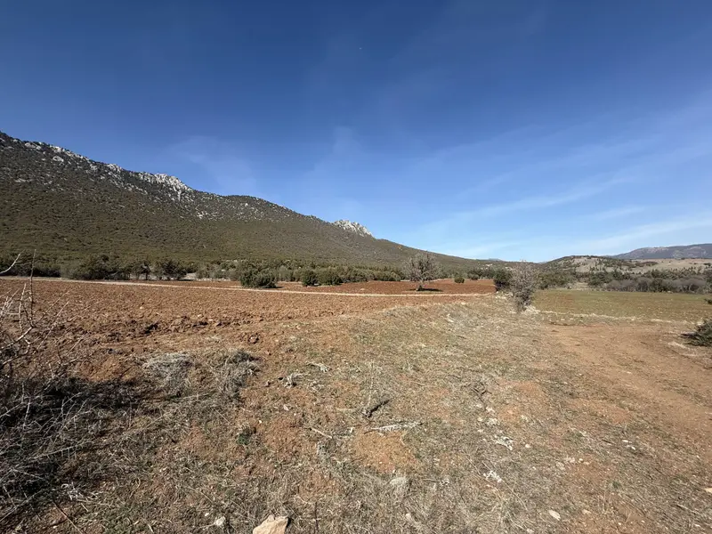 İlan Görseli https://cdn.ilanlar.com/images/l1/l2/{width}/{height}/30006826_1766751616117305660.jpg