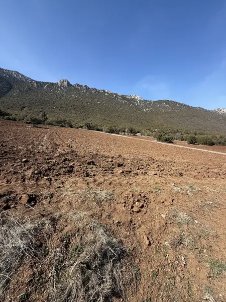 İlan Görseli https://cdn.ilanlar.com/images/l1/l2/{width}/{height}/30006826_1766751619034248713.jpg