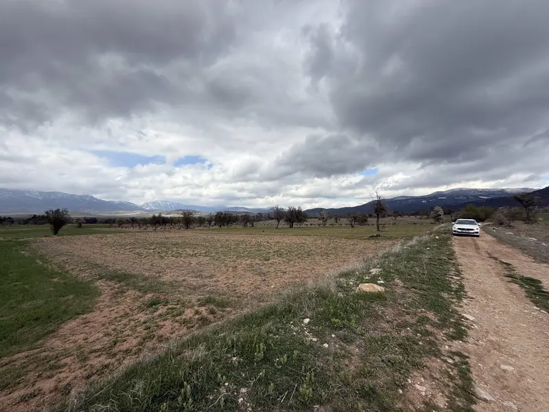 İlan Görseli https://cdn.ilanlar.com/images/l1/l2/{width}/{height}/30006827_1766752122529446881.jpg