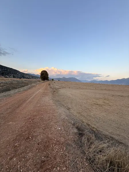 İlan Görseli https://cdn.ilanlar.com/images/l1/l2/{width}/{height}/30006918_1766944471057935302.jpg