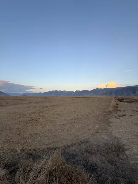 İlan Görseli https://cdn.ilanlar.com/images/l1/l2/{width}/{height}/30006918_1766944473521346658.jpg