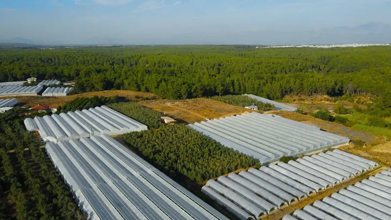 İlan Görseli https://cdn.ilanlar.com/images/l1/l2/{width}/{height}/30006957_1767087729469580244.jpg