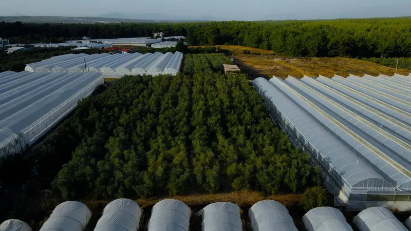 İlan Görseli https://cdn.ilanlar.com/images/l1/l2/{width}/{height}/30006957_1767087738790678341.jpg