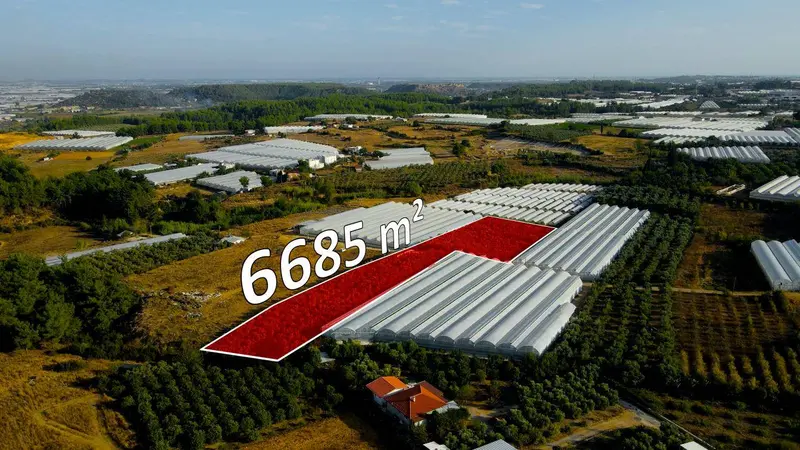 İlan Görseli https://cdn.ilanlar.com/images/l1/l2/{width}/{height}/30006957_1767087755038866540.jpg