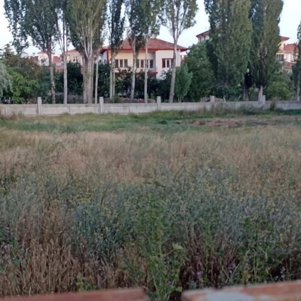 İlan Görseli https://cdn.ilanlar.com/images/l1/l2/{width}/{height}/30007025_1767276186560153376.jpg