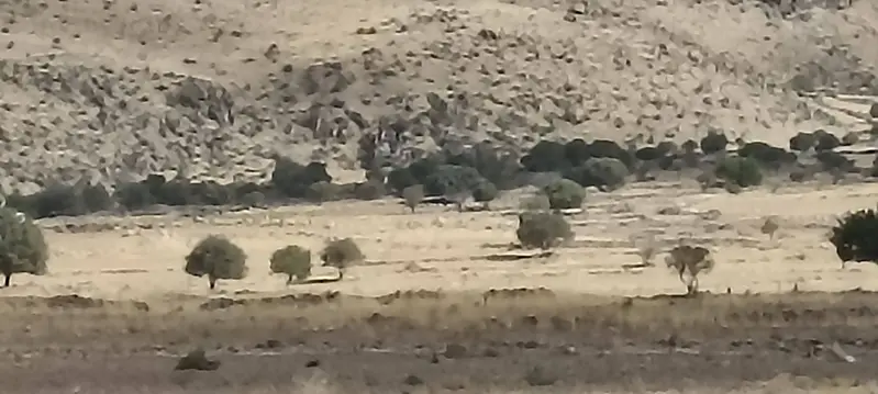 İlan Görseli https://cdn.ilanlar.com/images/l1/l2/{width}/{height}/30007030_1767278777981391481.jpg