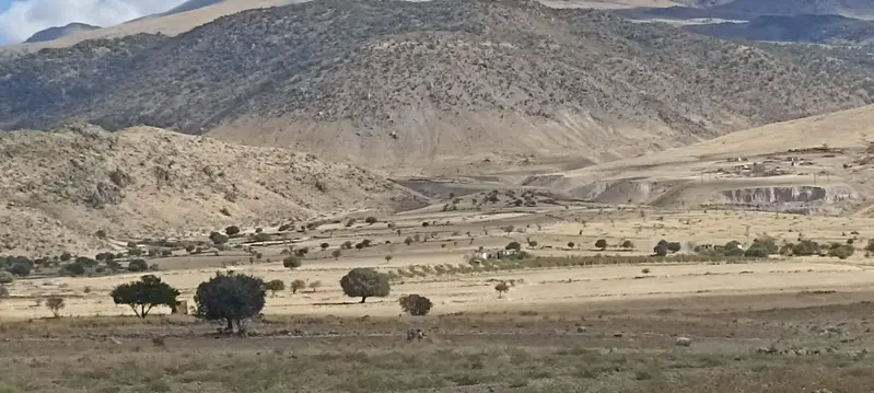 İlan Görseli https://cdn.ilanlar.com/images/l1/l2/{width}/{height}/30007030_1767278778898483086.jpg