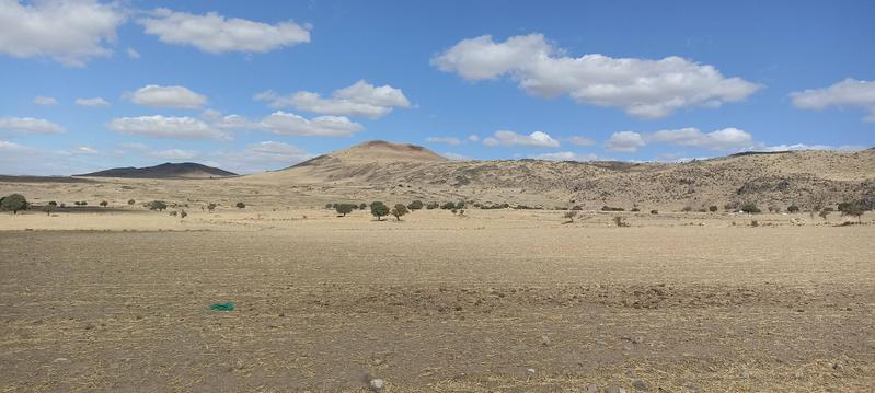 İlan Görseli https://cdn.ilanlar.com/images/l1/l2/{width}/{height}/30007070_1767356434241773857.jpg