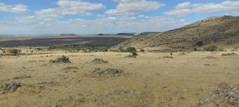 İlan Görseli https://cdn.ilanlar.com/images/l1/l2/{width}/{height}/30007070_1767356435431004050.jpg