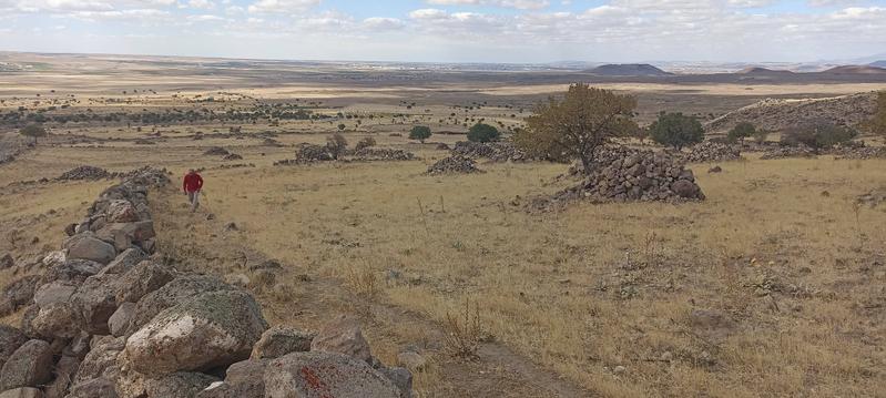 İlan Görseli https://cdn.ilanlar.com/images/l1/l2/{width}/{height}/30007070_1767356437052113525.jpg