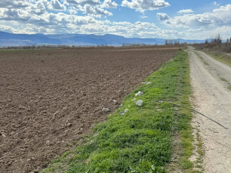 İlan Görseli https://cdn.ilanlar.com/images/l1/l2/{width}/{height}/30007079_1767366121445705426.jpg