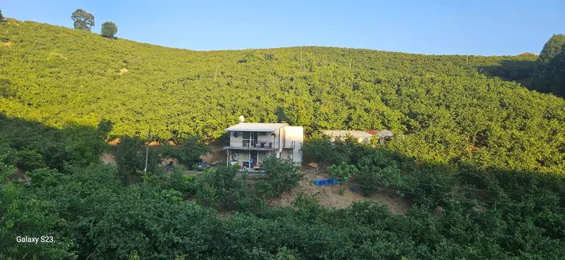İlan Görseli 2