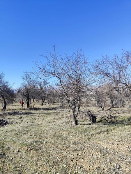 İlan Görseli https://cdn.ilanlar.com/images/l1/l2/{width}/{height}/30007164_1767615238653170769.jpg