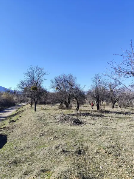 İlan Görseli https://cdn.ilanlar.com/images/l1/l2/{width}/{height}/30007164_1767615242398902576.jpg