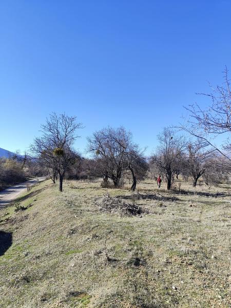 İlan Görseli https://cdn.ilanlar.com/images/l1/l2/{width}/{height}/30007164_1767615242398902576.jpg