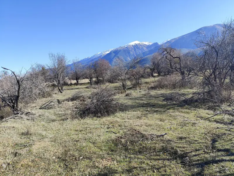 İlan Görseli https://cdn.ilanlar.com/images/l1/l2/{width}/{height}/30007164_1767615251265262824.jpg