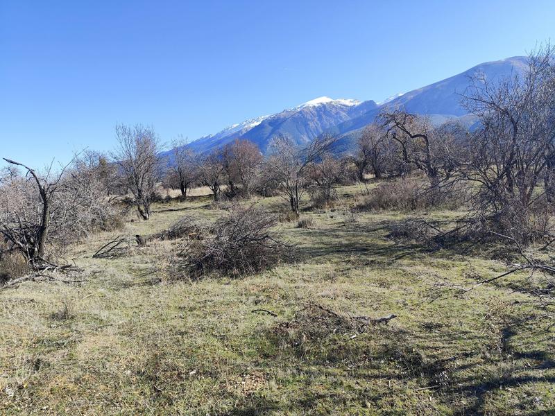 İlan Görseli https://cdn.ilanlar.com/images/l1/l2/{width}/{height}/30007164_1767615251265262824.jpg