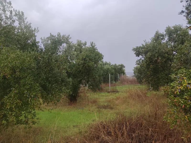 İlan Görseli https://cdn.ilanlar.com/images/l1/l2/{width}/{height}/30007178_1767642172900362605.jpg