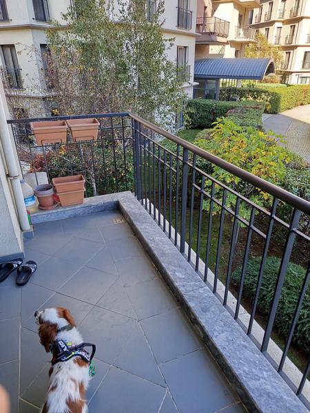 İlan Görseli https://cdn.ilanlar.com/images/l1/l2/{width}/{height}/30007179_1767642452776139149.jpg