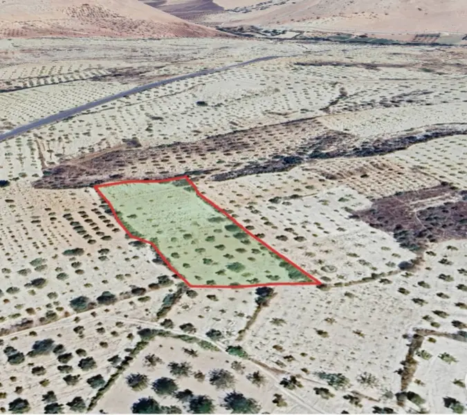 İlan Görseli https://cdn.ilanlar.com/images/l1/l2/{width}/{height}/30007192_1767649558237446879.jpg