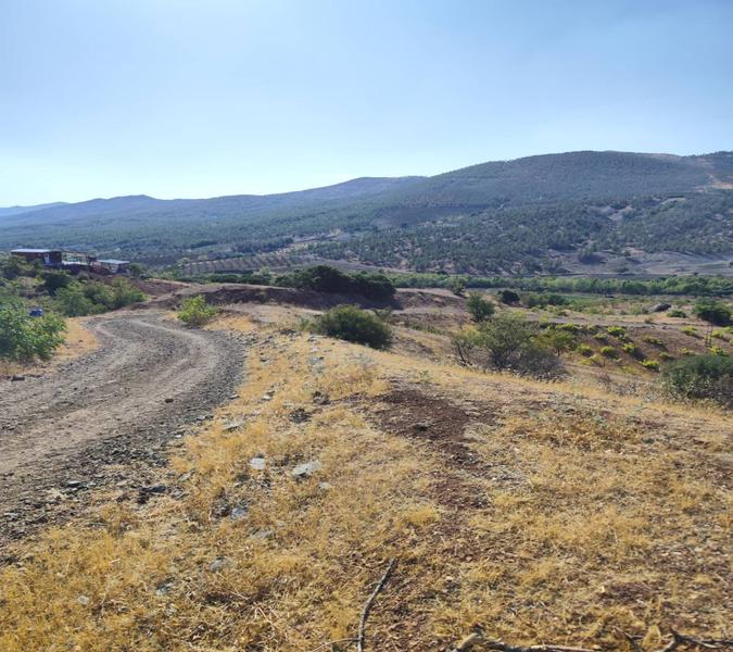 İlan Görseli https://cdn.ilanlar.com/images/l1/l2/{width}/{height}/30007193_1767650055135853781.jpg