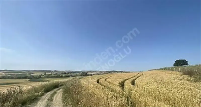 İlan Görseli https://cdn.ilanlar.com/images/l1/l2/{width}/{height}/30007218_1767723088414220505.jpg