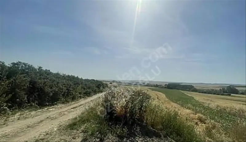 İlan Görseli https://cdn.ilanlar.com/images/l1/l2/{width}/{height}/30007218_1767723088761717594.jpg