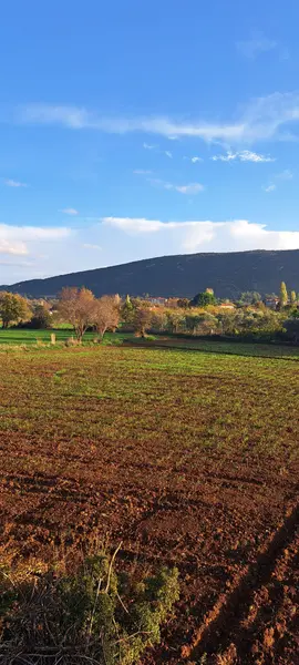yerkesik merkezde yeni yerlesim bolgesinde satilik tarla