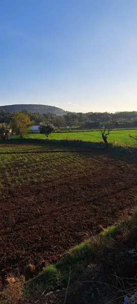 İlan Görseli 2