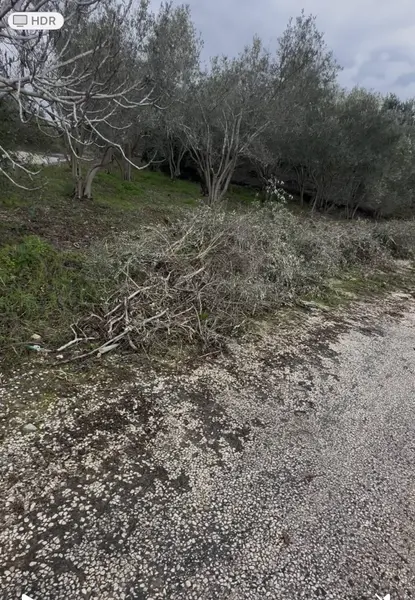 İlan Görseli https://cdn.ilanlar.com/images/l1/l2/{width}/{height}/30007301_1767952626597722549.jpg