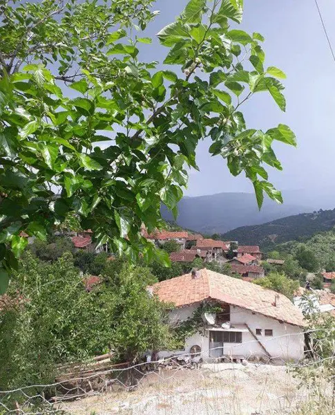 İlan Görseli https://cdn.ilanlar.com/images/l1/l2/{width}/{height}/30007327_1767979680917999561.jpg