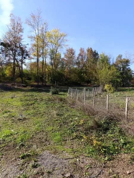 İlan Görseli https://cdn.ilanlar.com/images/l1/l2/{width}/{height}/30007333_1767992867307651175.jpg