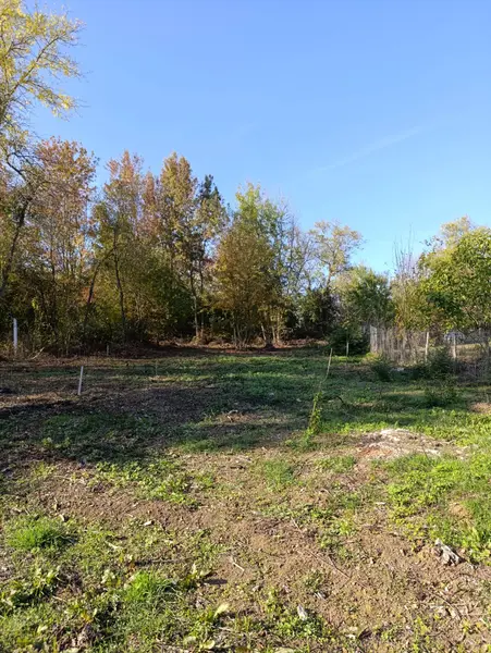 İlan Görseli https://cdn.ilanlar.com/images/l1/l2/{width}/{height}/30007333_1767992874183431187.jpg