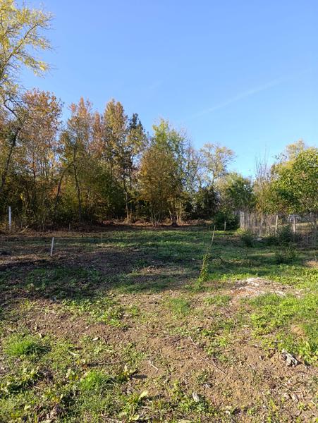 İlan Görseli https://cdn.ilanlar.com/images/l1/l2/{width}/{height}/30007333_1767992874183431187.jpg