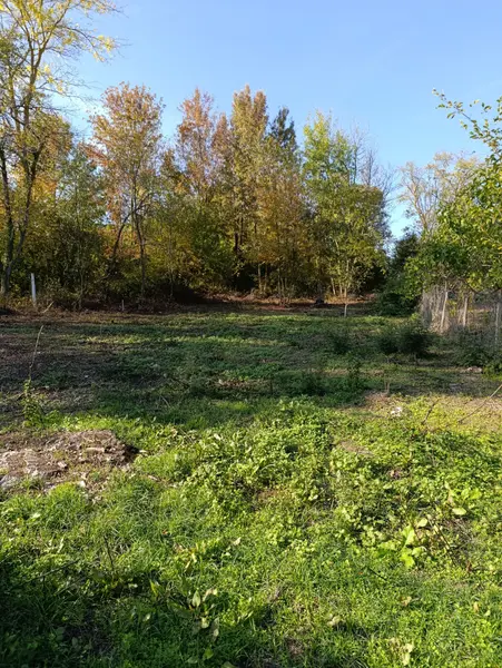 İlan Görseli https://cdn.ilanlar.com/images/l1/l2/{width}/{height}/30007333_1767992880532462468.jpg