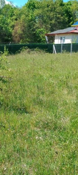 İlan Görseli https://cdn.ilanlar.com/images/l1/l2/{width}/{height}/30007349_1768052405640886131.jpg