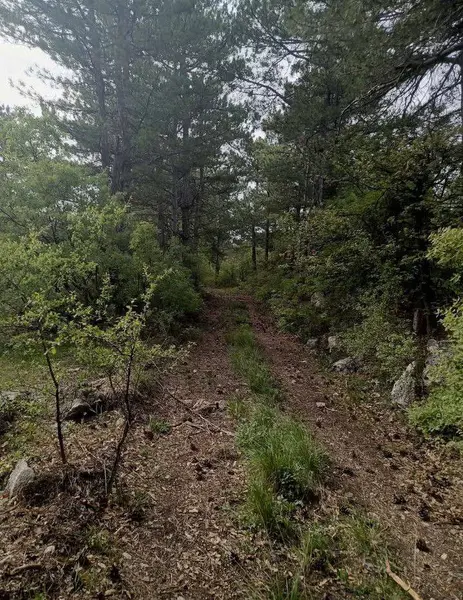 İlan Görseli https://cdn.ilanlar.com/images/l1/l2/{width}/{height}/30007354_1768055633465342566.jpg