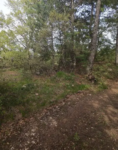 İlan Görseli https://cdn.ilanlar.com/images/l1/l2/{width}/{height}/30007354_1768055634496076116.jpg