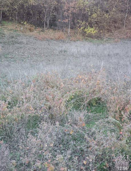 İlan Görseli https://cdn.ilanlar.com/images/l1/l2/{width}/{height}/30007355_1768056037199036499.jpg