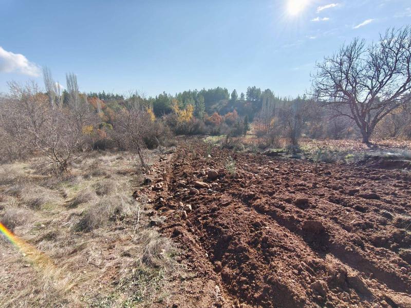 İlan Görseli https://cdn.ilanlar.com/images/l1/l2/{width}/{height}/30007355_1768056038104791818.jpg