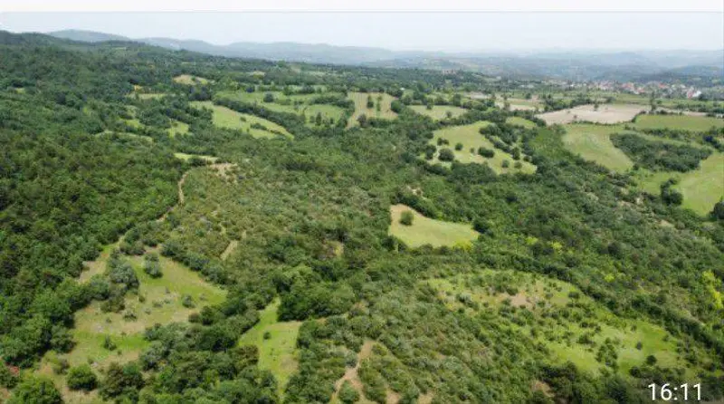 İlan Görseli https://cdn.ilanlar.com/images/l1/l2/{width}/{height}/30007356_1768056223186367411.jpg