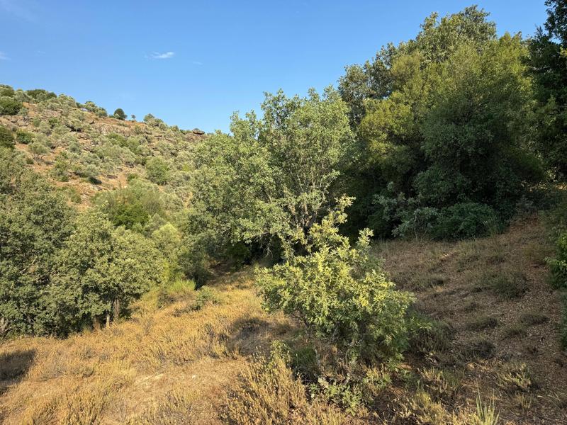 İlan Görseli https://cdn.ilanlar.com/images/l1/l2/{width}/{height}/30007357_1768056428599718788.jpg