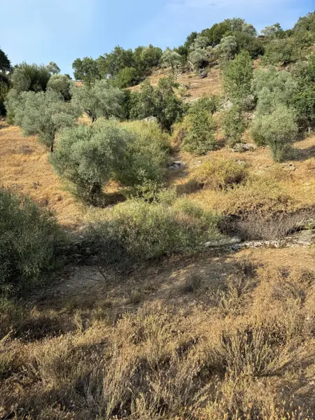 İlan Görseli https://cdn.ilanlar.com/images/l1/l2/{width}/{height}/30007357_1768056432131131893.jpg